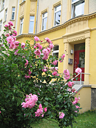 vorgarten_detail2_190.jpg vorgarten_detail2_190.jpg