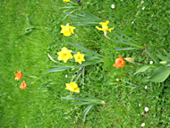 vorgarten_detail3_190.jpg vorgarten_detail3_190.jpg